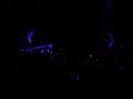 pluramon feat. julie cruise live at aplo barcelona february 2008