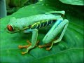 aaaa