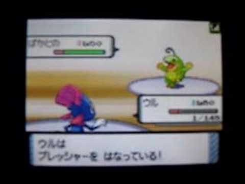 ...対...。 - ポケモンDP Wi-Fi battleie