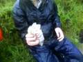 D of E unhappy video Benbecula