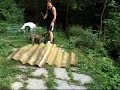 \"Ajax\" X-Herder growing up \"Ajax\" X-Herder growing up