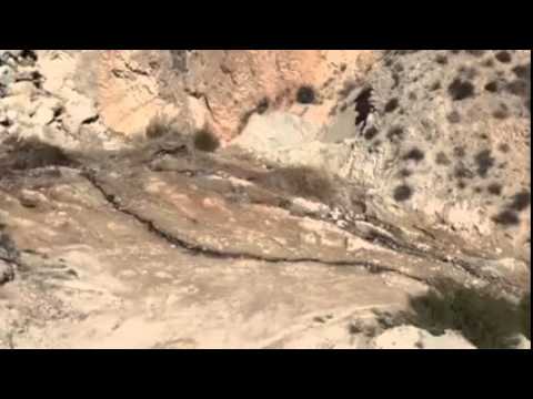 Imagen de previsualización de YouTube