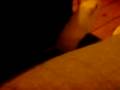 videos de MOV00134