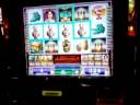 Roman Dynasty BONUS - Slot Game in Casino Roman Dynasty BONUS - Slot Game in Casino