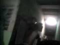 videos de Meu talentoso Leozinho
