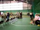 IWH Club CH show 2007