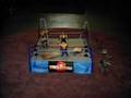FLIYING HIGH WRESTLEING 15 man royal rumble