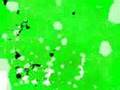 Tigrillos Besame Official Music Video and Lyrics