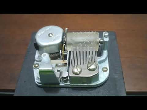 動画