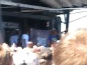 We the Kings- Check Yes, Juliet (live at Warped tour) We the Kings- Check Yes, Juliet (live at Warped tour)