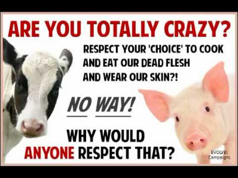 lolcomics - HELPFUL LINKS ~ MEATVideo.com (must see - factory farms), AdoptaCollege.org (help volunteer or donate), VeganHealth.org (Dietician), PCRM.org (Drs Vegan), Ve...