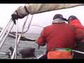 Big Sluggo Chinook Salmon Busted at San Francisco