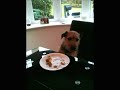 This is a video that the user has chosen on youtube
