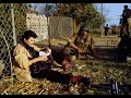 Georgian Genocide in Abkhazia