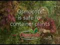 Osmocote Gardening Tip 19 Hanging Baskets Osmocote Gardening Tip 19 Hanging Baskets
