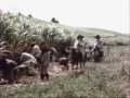russian film from the year 1991, based on the novel of rafael sabatini.