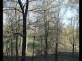 Amazing timelapse of four seasons