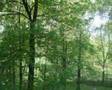 Amazing timelapse of four seasons