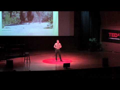 how to help endangered animals