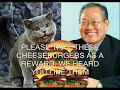 Happy cat tribute