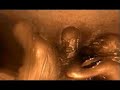 Andromeda Software Development - LifeForce Andromeda Software Development - LifeForce