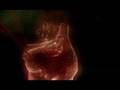 Andromeda Software Development - LifeForce