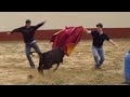Cobretti y la Vaquilla