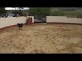 Cobretti y la Vaquilla