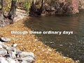 These Ordinary Days