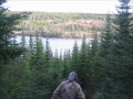 Moose Hunt Newfoundland 2010wmv