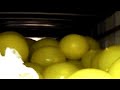Flaming Lips documentary - U.F.O.'s at the Zoo - OKC