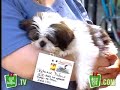 Justforlaughs- Mailbox