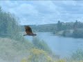 water of love Dire Straits