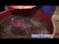 How Wine Is Made: Learn the Step by Step Winemaking Process : Pouring In the Yeast Mixture: Learn How Wine Is Made