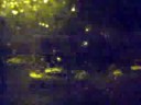 Historic Chicago storm: 08/04/08 (Clip 3)