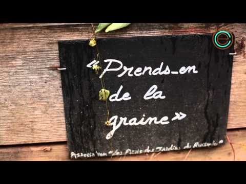 Image de prévisualisation YouTube