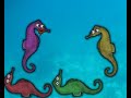 Seahorse showdown