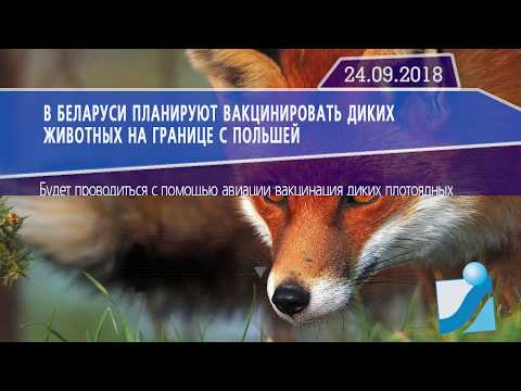 Новостная лента Телеканала Интекс 24.09.18.
