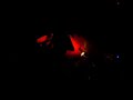 Amplifier - Panzer