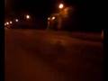 videos de THE WHOLE CREW