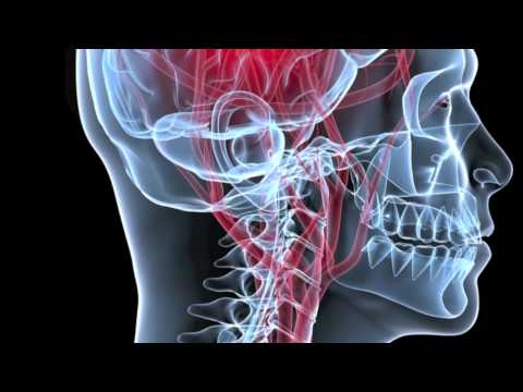 The future of human health care – Innovation & Technologie Revolution – Sam 2012 (HD) The future of human health care – Innovation & Technologie Revolution – Sam 2012 (HD)