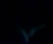 videos de los pibes