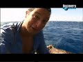 A Prueba de Todo :: Isla Desierta 6/6