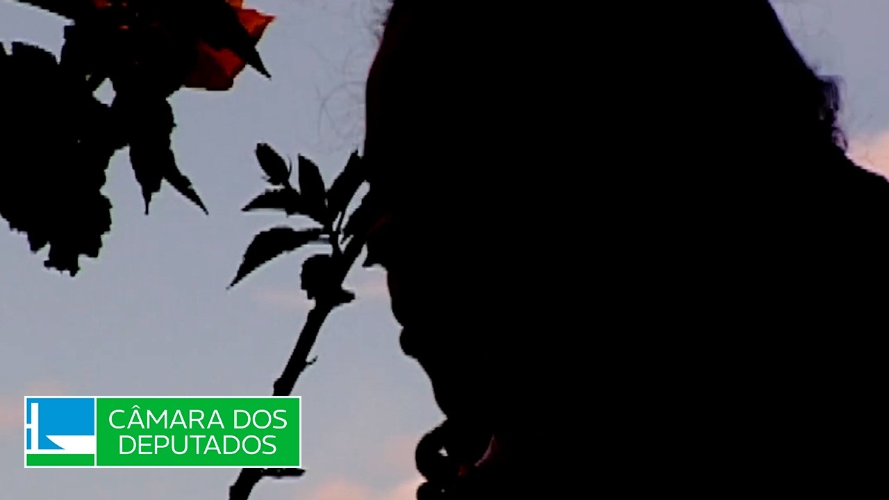 Vítima de violência doméstica terá isenção de multa na rescisão de aluguel - 23/06/2026