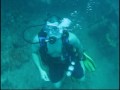 Scuba Diving the Eagle Wreck Again, Islamorada, Florida Keys