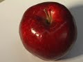 Cross Contour Drawing: Apple Exercise (Otis College)