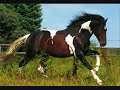 wow-death-legend-silenc-fotos.html