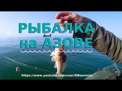прогноз клева на азовском море прогноз клева на азовском море