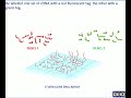 dnaarray