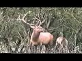 535008.flv
